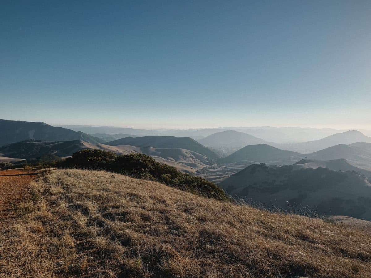 Dry grass ridge above rolling hills at dawn
