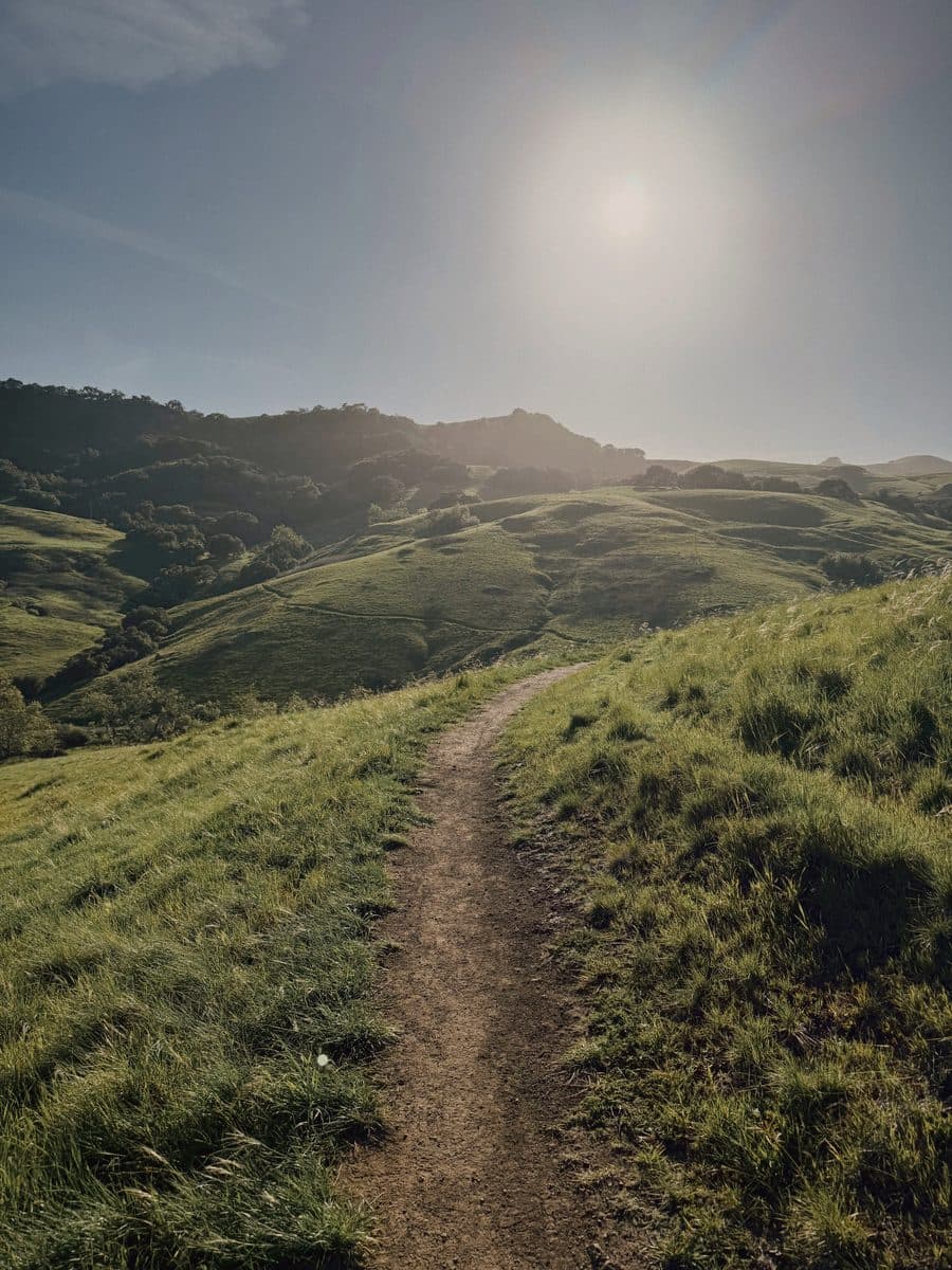 A singletrack trail through green hills in low sun